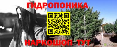 spice Рязань
