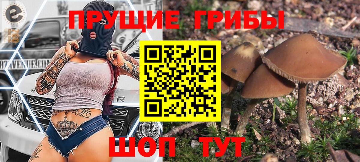 Рубцовск  Галлюциногенные грибы Psilocybine cubensis  Вход с VPN 